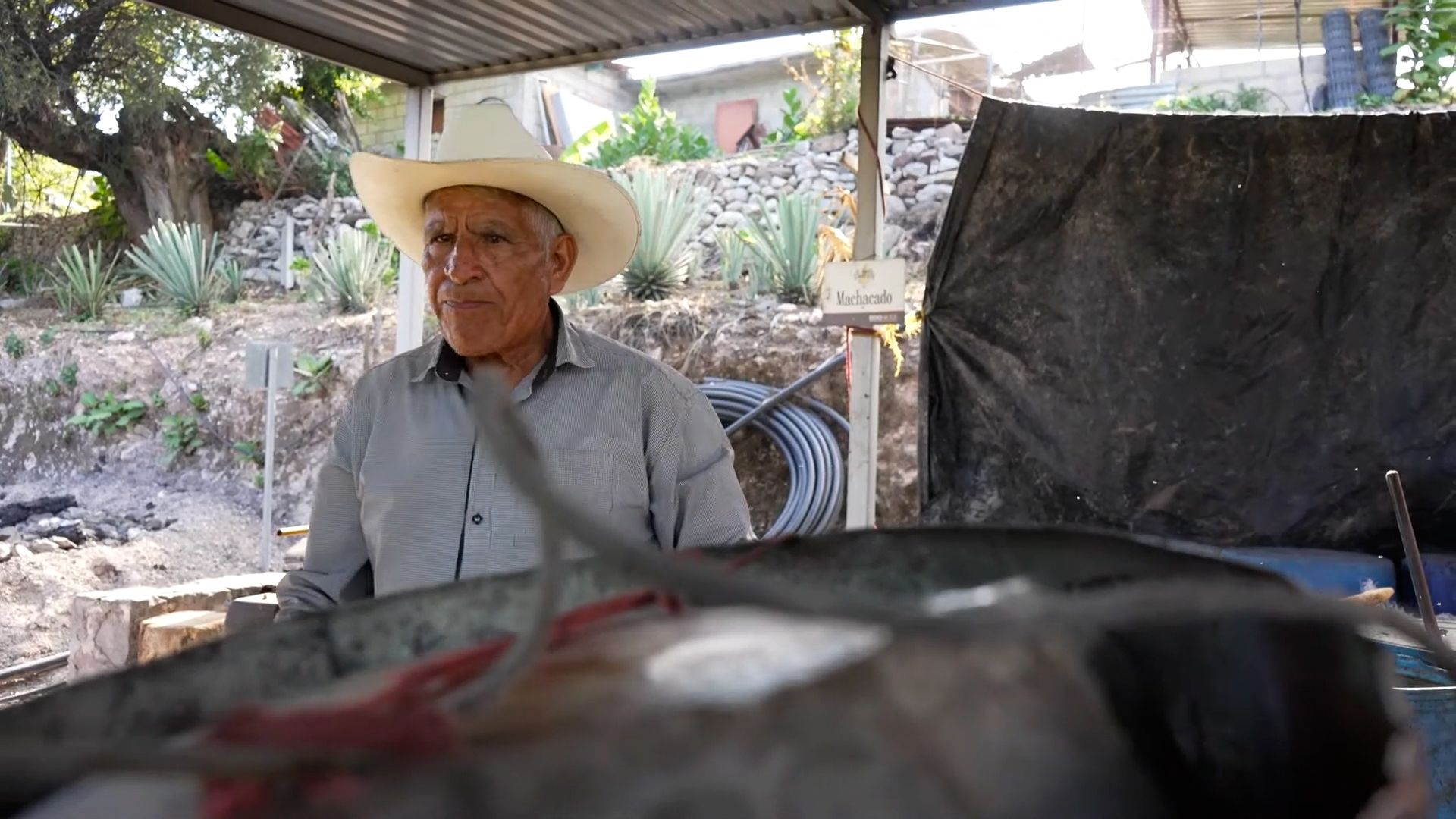 Sueños de Mezcal